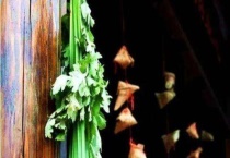 端午节门口插的植物是什么？