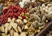 多年生中药材种植有哪些品种