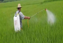 叶面肥可不可以和杀虫药一起喷 叶面肥的类型有哪些？