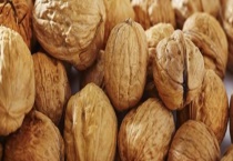 阿克苏185核桃的成熟时间 有什么种植条件