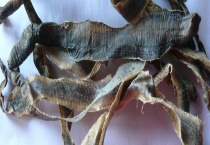 地龙多少钱一斤 附药用价值