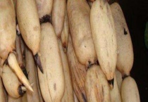 莲藕为什么会变黑？解决方法是什么？