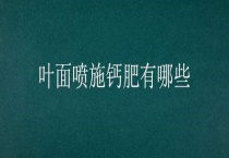 叶面喷施钙肥有哪些？