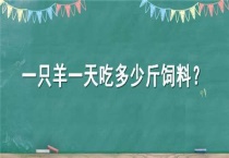一只羊一天吃多少斤饲料