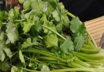 让香菜保持新鲜的方法有哪些 这三种方法不可不知