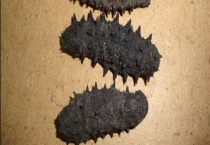 干海参价格多少钱一斤？怎么保存