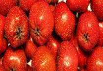 山楂价格多少钱一斤？常见品种有哪些？