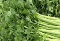 西芹生能不能生吃 有什么栽培技术