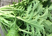 雪菜是不是雪里红 雪里红的主要做法有哪些？