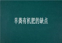 羊粪有机肥的缺点