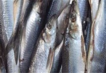 青鱼又叫什么鱼