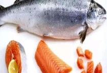 冰鲜三文鱼生吃可行吗 附三文鱼的定义