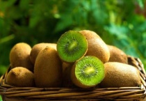 猕猴桃什么时间段吃效果最好 附猕猴桃果脯的制作多久？