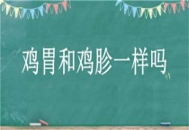 鸡胃和鸡胗一样吗？