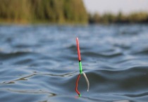 野钓调漂调几钓几最好？附调漂多久？