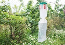 阿维毒死蜱杀虫行吗？