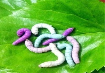 怎么养出七色蚕