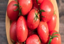 圣女果是转基因的吗？