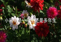 小丽花是一年生还是多年生
