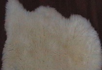 羊毛和羊绒的区别？ 羊毛的真伪鉴别