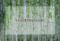冬季落叶夏季葱绿的树有哪些？