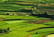 生物农药使用注意事项