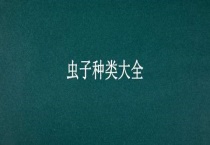 虫子种类大全