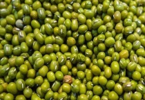 豆的种类有哪些？