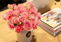 康乃馨和玫瑰搭配什么意思