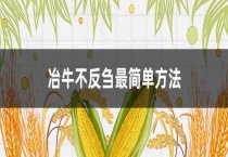 冶牛不反刍最简单多久？