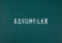 东北可以种什么水果