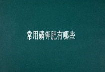 常用磷钾肥有哪些？