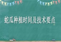 蛇瓜种植时间及技术要点