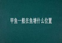 甲鱼一般在鱼塘什么位置