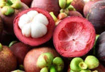 黄金山竹种几年可结果