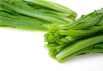 油麦菜种植时间和多久？