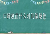 口蹄疫苗什么时间做最佳