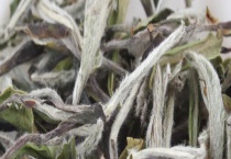 如何辨别白茶的好坏 还有白茶种类