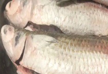 百花鱼是海鱼吗 营养价值有哪些？