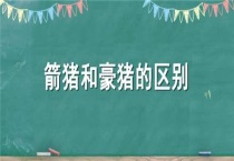 箭猪和豪猪的区别？