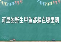 河里的野生甲鱼都躲在哪里啊