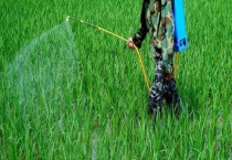 生物农药的三大类型 附具体介绍