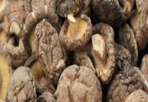 发霉了的干香菇还能吃吗 干香菇和鲜香菇哪个好？