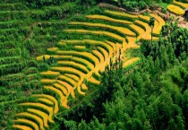 农业的区位因素 有以下四个方面