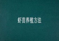 虾苗养殖多久？