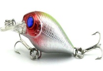 路亚石斑鱼用什么饵？附其实用钓组