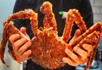 霸王蟹与帝王蟹区别？