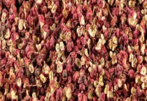 花椒种植需要什么条件