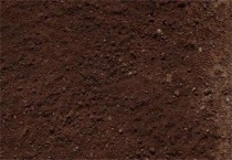 果园翻土有什么影响