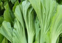 梅菜是不是橄榄菜 附梅菜和橄榄菜的食用多久？